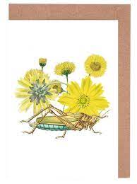 Based on flowermeaning.com, ranunculus are flowers with very few and direct meanings, no matter the color. Yellow Flowers And Grasshopper Greeting Card Set Juniqe
