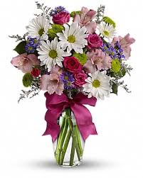 Original niepagen flower shop is a top rated family owned and operated flower shop in bloomington, il. Pretty Please In Bloomington Il Original Niepagen Flower Shop