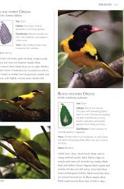 In the angry birds series, golden eggs are special items hidden in the game, which unlock additional levels upon collecting them. A Photographic Field Guide To The Birds Of Sri Lanka Nhbs Field Guides Natural History