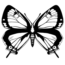 In the stores of black red white find furniture and decorations in your favorite style and attractive prices. Butterfly Clip Art Black And White Clipart Best Butterfly Coloring Page Butterfly Black And White Butterfly Clip Art