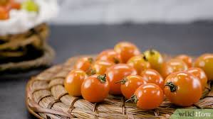 Can you freeze cherry tomatoes from the garden. 3 Ways To Freeze Cherry Tomatoes Wikihow