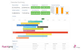 Executive Summary Project Management Dashboard Timeline
