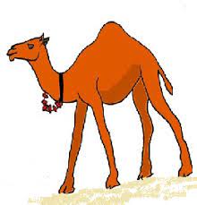 There are so many places where people can't walk in the. 10 Lines On Camel Moralpot