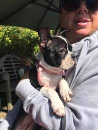 What are the opinions