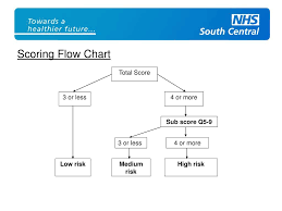 Image result for Start Back Screening Tool