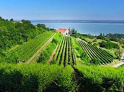 Lake balaton is a freshwater lake in the transdanubian region of hungary. Plattensee Daten Fakten Und Interessantes