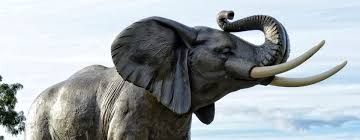 Obituary of Gary Cyr