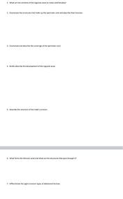 The inguinal canal is a passage in the anterior abdominal wall that transmits structures from the pelvis to the perineum formed by the fetal migration of the gonad from the abdomen into the labioscrotal gross anatomy. Solved 1 What Are The Contents Of The Inguinal Canal In Chegg Com