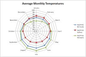 Using A Radar Chart In Excel 2007 To See The Big Picture