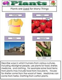 Plants And Plant Life Science Education Pdf File 94 Pages Plant Life Plants Science Education