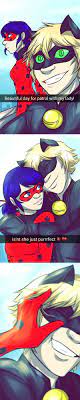 I Seriously Can T Stop Drawing Ladynoir Angst Miraculous Ladybug Anime Miraculous Ladybug Funny Miraculous Ladybug Comic