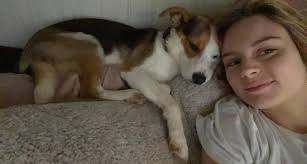 Lost dog in southside 81005 area?