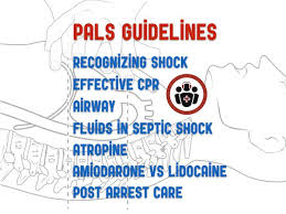 pals guidelines emergency medicine cases em cases