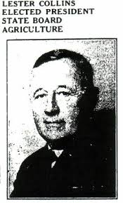 The Collins Lane House