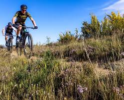All the latest news from the downhill, trail, enduro, and jump mountain bike world. Three Day Mountain Bike Race Planned Otago Daily Times Online News