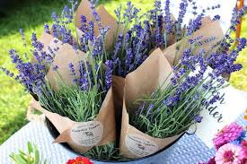 What you will need is some pretty fabric scraps, wonderweb (or bondaweb in the us?), dried lavender (cut fresh lavender, place in a paper bag and hang to dry), a hot iron & two tea towels (to protect the iron and ironing board). Handmade Lavender Sachets An Easy Diy Gift Tutorial