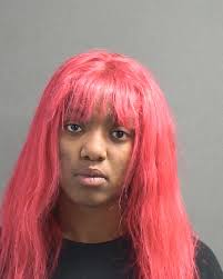 NAME: DAWSON JAIDA NOELLE 12/19/2002 F B Booking Date: 02/08/2025 Charges:  RESISTING AN OFFICER WITHOUT VIOLENCE Bond: $500.00 📷 SOURCE: VOLUSIA  COUNTY CORRECTIONS Notice: “This content is released in the Public Domain
