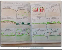 Succession Lesson Plan A Complete Science Lesson Using The 5e Method Of Instruction Kesler Science Ecological Succession Science Lessons Primary Succession