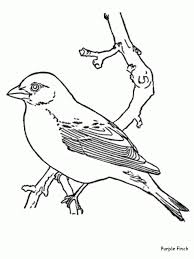 Free bird coloring printable pages to identify for kids. Get This Bird Coloring Pages Free Kids Printable 52885