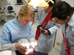 「歯科衛生士　胸」の画像検索結果