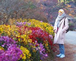 Rizal Hakimm Jom Ke Korea Tengah Musim Luruh Autumn Facebook