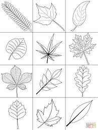 Set up a table outside and keep kids of all ages occupied with these spring pictures to color. Free Leaf Coloring Pages 35 Images Autumn Leaves Drawing Wallpapers Gallery Free Printable Leaf Coloring Pages For 11 Pics Printable Fall Leaves Patterns And Learning Activities