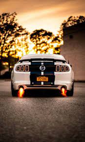 Ford Mustang Gt Mustang Wallpaper Ford Gt