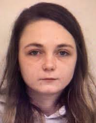 In December 2021, a complaint involving animal cruelty was made to the  Shiawassee County Sheriff's Office. The complainants told Shiawassee County  Animal Control Deputy Kirt Stechschulte that they had discovered 2 deceased