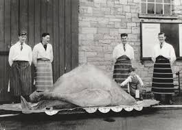 Obituary: Remembering Swanage butcher Stan James