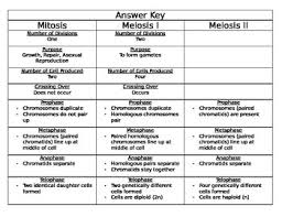 Check spelling or type a new query. Mitosis Vs Meiosis Match Up By Katrina Lindroos Tpt
