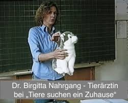 Tiere und ihr neues zuhause. Expertin Fur Hundesprache Fur Kinder Bei Wdr Servicezeit Tiere Suchen Ein Zuhause 11 08 2002 Tierarztliche Praxis Dr Med Vet Birgitta Nahrgang Tierarztin
