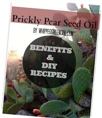 Coconut oil can be used in many ways for brightening up your skin tone, but here we are providing you with the best of 4 coconut oil methods that widely used for clearing the uneven skin tone. 14 The Benefits Of Cactus Oil Ideas Cactus Oil Prickly Pear Prickly Pear Oil