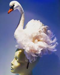 White Bird With Crazy Hair White Fascinator Swan Headband Mad Hatter Teaparty Etsy White Fascinator Fascinator Bird Costume