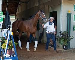 See more of bob baffert racing on facebook. Authentic Thousand Words In Good Order After Derby Bloodhorse