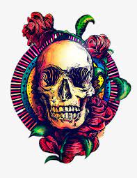Cool Skull Skull Clipart Color Skull Skeleton Material Png Transparent Clipart Image And Psd File For Free Download Skull Art Skull Roses Drawing