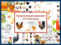 развивающие игры для детей 4 лет скачать бесплатно на планшет Tk Domashnie Pticy Tematicheskie Nedeli Domashnie Pticy Pticy Doshkolnik