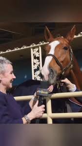 𝐑𝐈𝐏 𝐆𝐨𝐥𝐝 𝐃𝐚𝐧𝐜𝐞𝐫..🐎🙏🏼 “Unfortunately he broke his back and  they put him down.” The death means a total of 68 horses have now died at  the Aintree Festival since 2000. 𝐒𝐰𝐢𝐩𝐞 𝐚𝐜𝐫𝐨𝐬𝐬.😭👉🏼