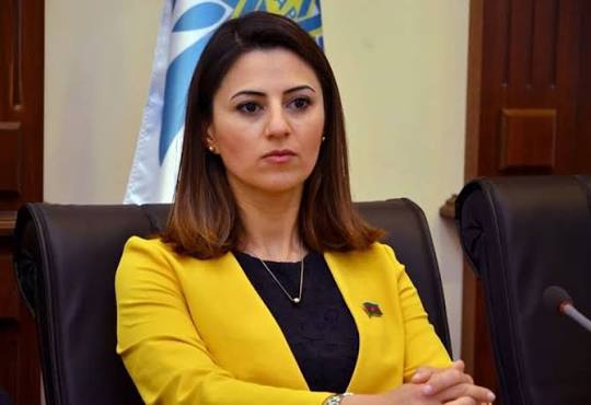 Sevinc Fətəliyeva: Dövlətimiz Qoşulmama Hərəkatının sədri kimi öz üzərinə  düşən vəzifələri uğurla yerinə yetirir - AZƏRTAC
