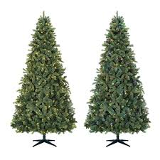 Your home for quality christmas decor and everyday florals. Home Accents Holiday 9 Ft Overland Pine Quick Set Pre Lit Tree With 600 Color Changing Su The Home Depot Canada