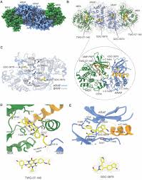 Image result for MEK Inhibitor