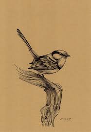 Outline Bird On Branch Drawing Pin On Krasa Shop Com