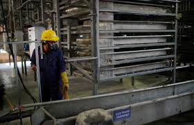 With just a phone call, dial a car battery immediately renders help to anyone, anywhere. Start Ups Aim To Change Car Battery Recycling Clean Up World S Most Polluting Industry Reuters