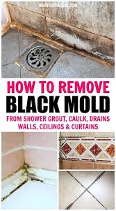 How To Get Rid Of Black Mold Anywhere In Your Shower In 2020 Black Mold In Shower Shower Wall Shower Grout