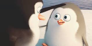 Share the best gifs now >>>. The Alpha S Expectations 1 Completed Penguins Of Madagascar Penguins Cute Penguins