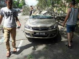 Tetapi ada juga yang buat cover seperti biasa. Kereta Rosak Akibat Dihempap Pokok Tk Jaya Insurance Facebook