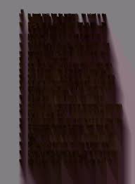 Image result for Triainolepis sancta