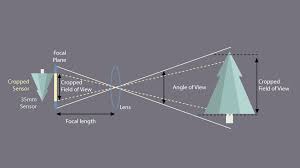 Understanding Crop Factor B H Explora