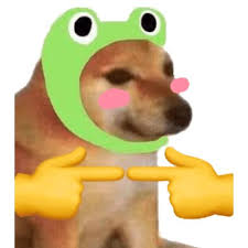  60 Ide Doge Lucu Gambar Anjing