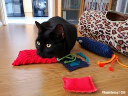 The Catnip And 4catsnip Effect Getting High Katzenworld Cats Cat Toys Cat Feline