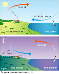 Land Breeze And Sea Breeze Diagram Yahoo Image Search